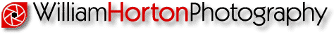 DeepFocus Logo