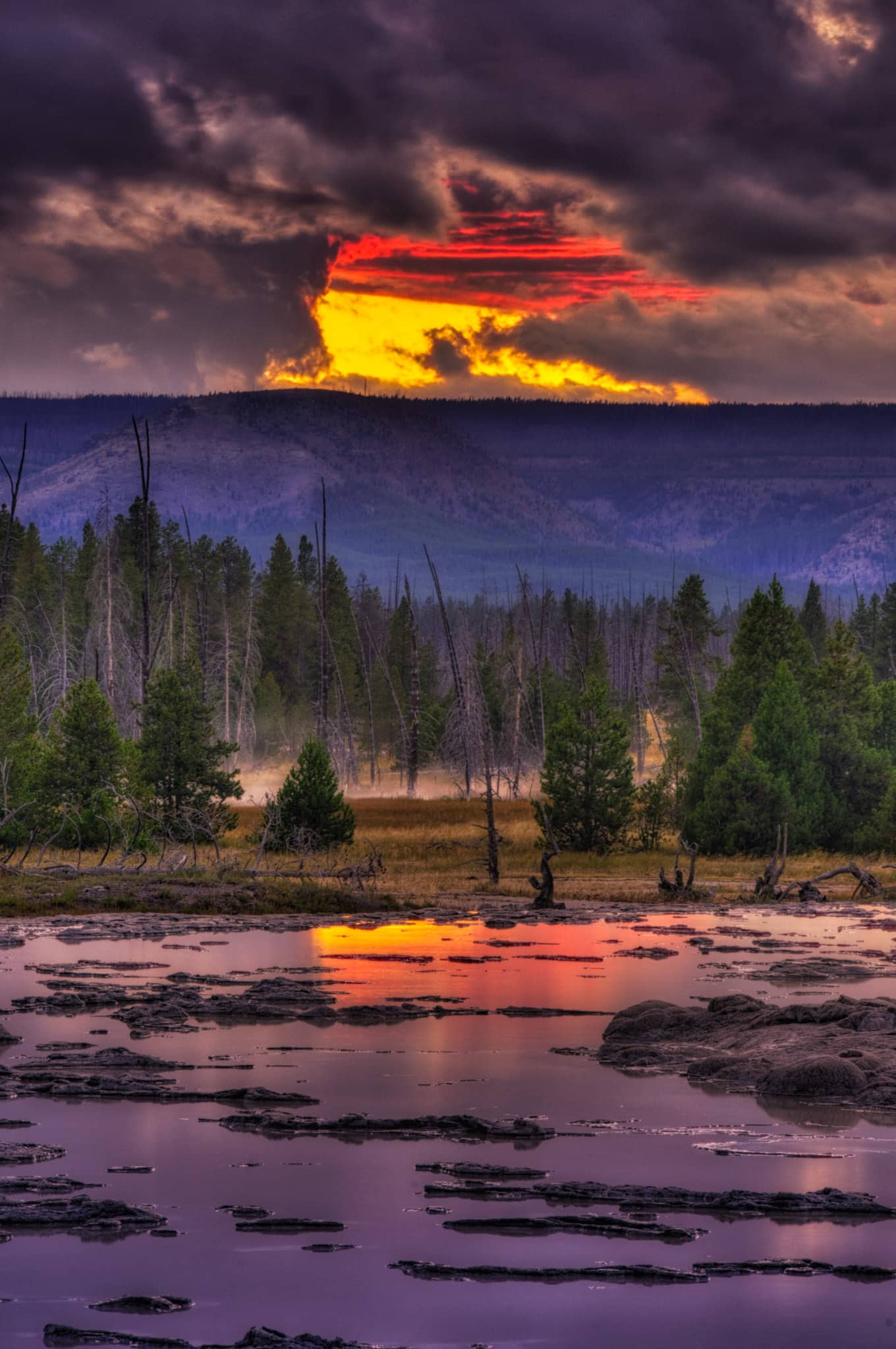 Download Photographs of Yellowstone National Park and Its Animals ...